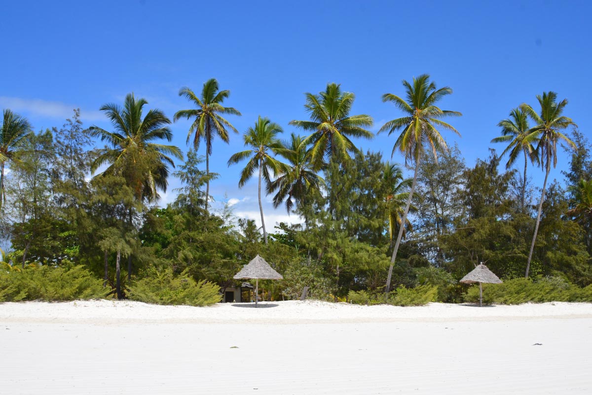 View of Kiwengwa Beach coastline