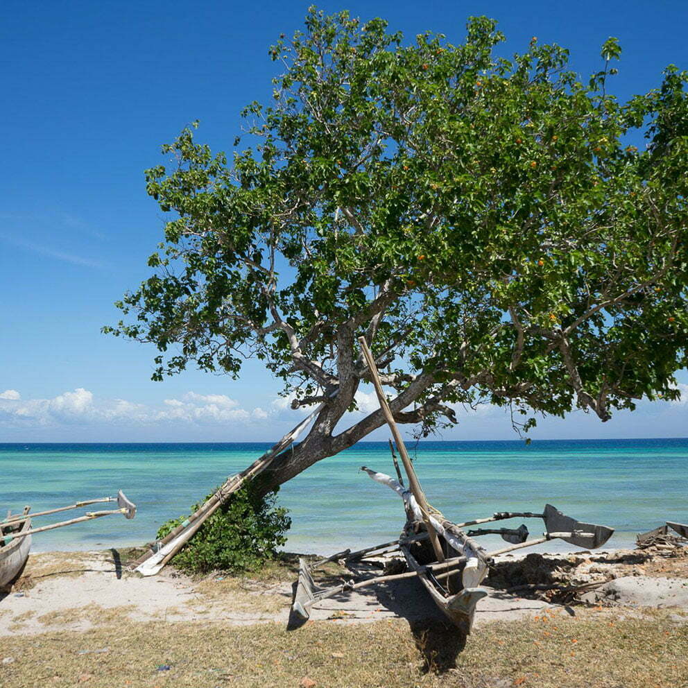 Weather Zanzibar in July
    An in-depth look at the island nations climate during this month.