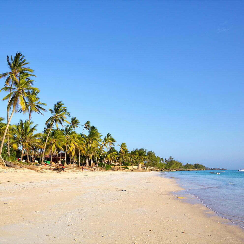 Kizimkazi Beach - Zanzibar