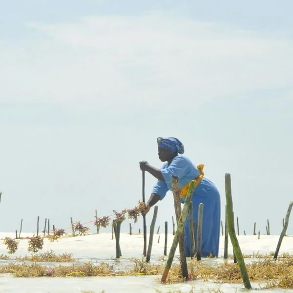 zanzibar tanzania tourism