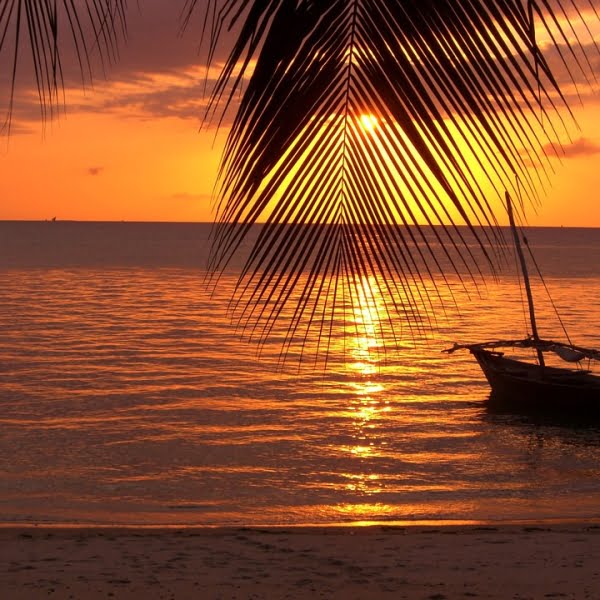 zanzibar tanzania tourism